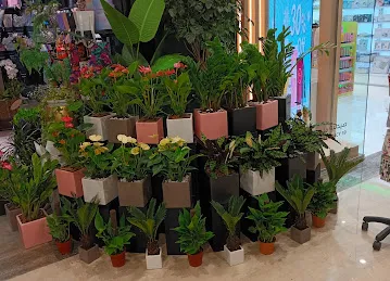 We Flowers - Jumeirah Golf Estate Branch