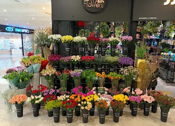 We Flowers - Jumeirah Golf Estate Branch