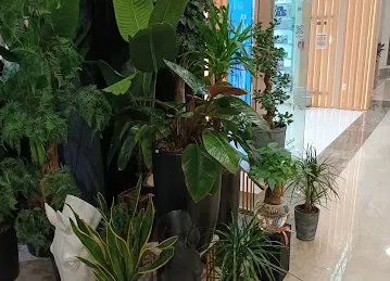 We Flowers - Jumeirah Golf Estate Branch