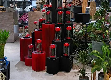 We Flowers - Jumeirah Golf Estate Branch
