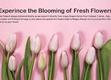 We Flowers LLC - Marina Mall