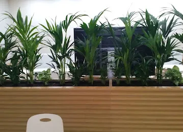 Western Planters L.L.C