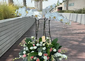 White Orchid Flower Boutique