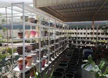 Wild Flora Horticulture LLC (Plants Nursery)
