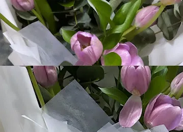 Win Zen Flower Shop