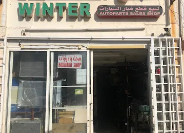 Winter Auto parts sales shop