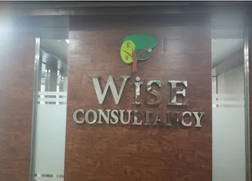 WISE CONSULTANCY