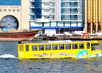 Wonder Bus Tours