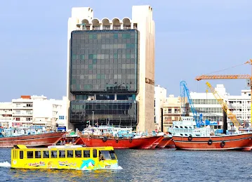 Wonder Bus Tours
