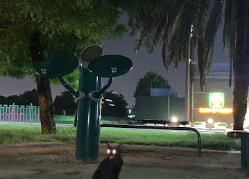 Workout Fitness Spot