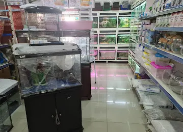 World Bird Trading
