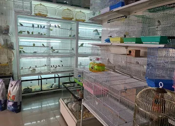 World Bird Trading