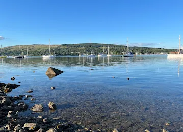 World Fruits and Vegetables