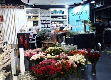 Woroody & More - Al Wasl Rd - Dubai