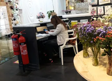 Woroody & More - Al Wasl Rd - Dubai