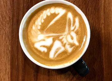 XO Coffee Boutique