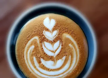 XO Coffee Boutique