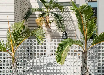 Yardscape