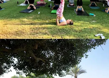 Yoga by Meet'n'train