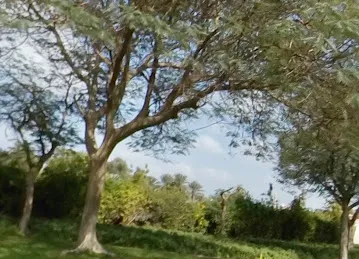 Za’abeel 2 Playground
