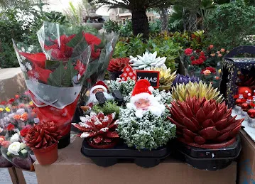 Zabeel Nursery مشتل زعبيل - Gate 1