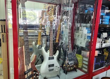 Zak Electronics and Musical Instruments Co
