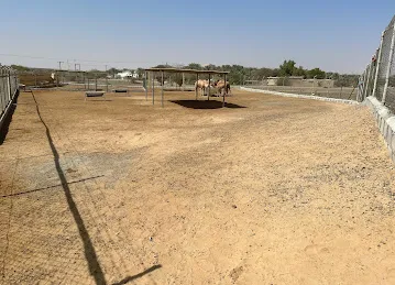 عزبة جمال