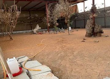 عزبة الريف