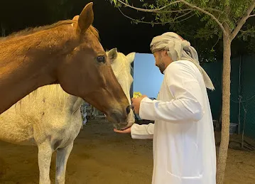 عزبة السويدي