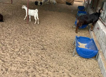 عزبه عبدالله الدح Family Desert Camp
