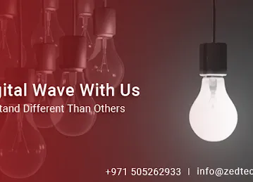 ZED TECH LLC
