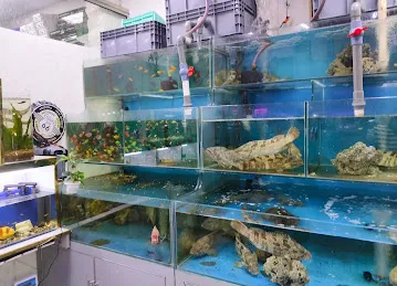 中国水族JIE Aquarium fish shop