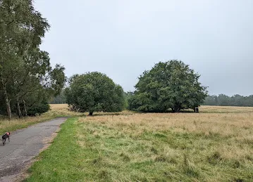 Zoom 4023